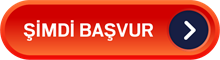 simdibasvur simdibasvur